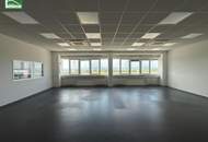 Moderne Betriebsimmobilie: Perfekt für Logistik, Büro oder Produktion – Top-Objekt in Maria Lanzendorf: ab sofort verfügbar!