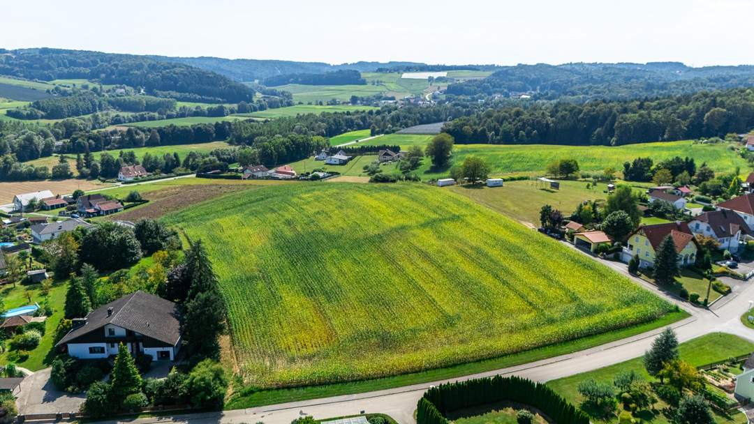 Tolles Bauträgergrundstück mit schöner Aussicht - Hochrosenberg