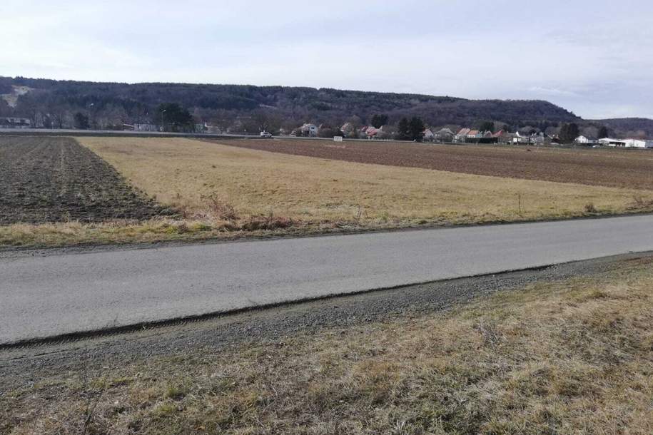 DB IMMOBILIEN | Nähe Oberpullendorf - zukünftiger Betriebsgrund mit Potenzial, Grund und Boden-kauf, 45.000,€, 7453 Oberpullendorf