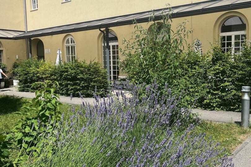 3-Zimmerwohnung mit ausgewählter Nachbarschaft in den historischen Dragonerhöfen - Innenstadtnähe & Grünflächen! Ab sofort!, Wohnung-miete, 947,63,€, 4600 Wels(Stadt)