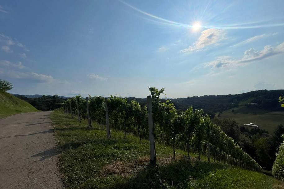 Einzigartige Landwirtschaft mit Weingärten in Alleinlage und atemberaubender Aussicht - Leutschach an der Weinstraße, Gewerbeobjekt-kauf, 1.421.400,€, 8463 Leibnitz