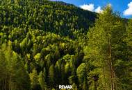 Teilwald in Nassereith – Ein Naturjuwel zum Erwerb!