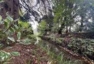 Top-renovierter Wohntraum mit 2000 m² Gartenparadies,Teich und Bachlauf