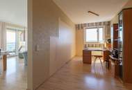 Carl-Appel-Straße, Blick über Wien - 3 Zimmer Neubau mit 19,11m2 Loggia