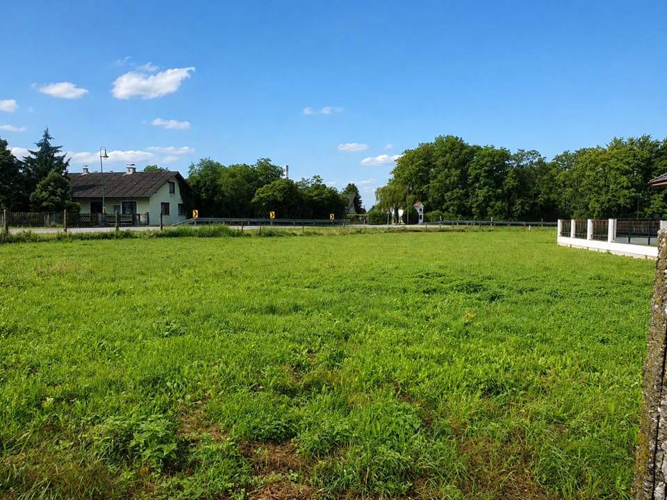 "761 m² traumhafter Eigengrund Nähe Tulln an der Donau"
