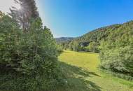 Historisches Bauernhaus in Grün-Ruhelage