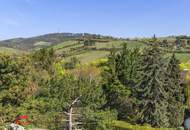 Penthouse mit Blick in die Weinberge