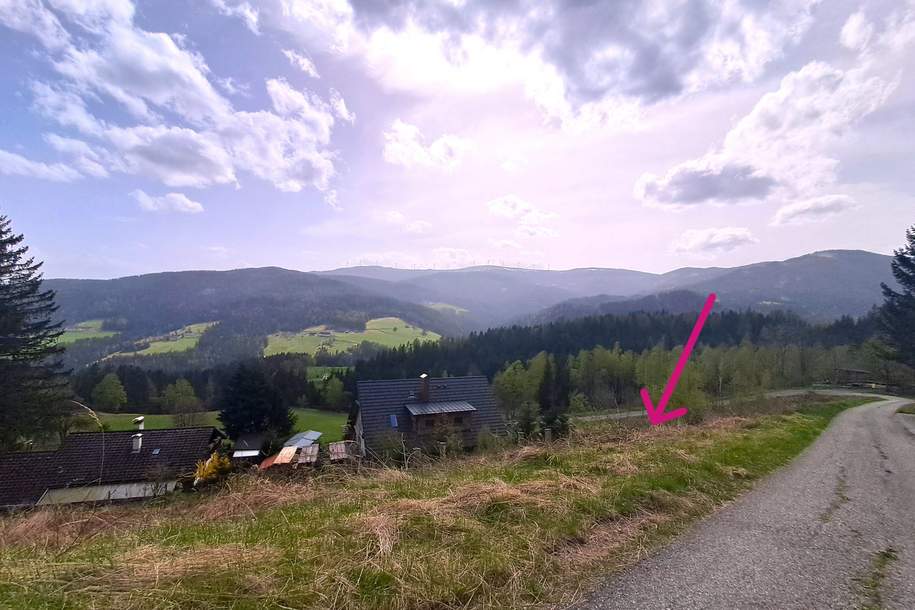 Grund zum Aufatmen auf der Hebalm (Provisionsfrei), Grund und Boden-kauf, 55.000,€, 8530 Deutschlandsberg
