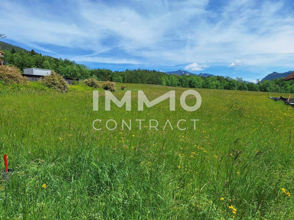 Zwischen Attersee und Mondsee