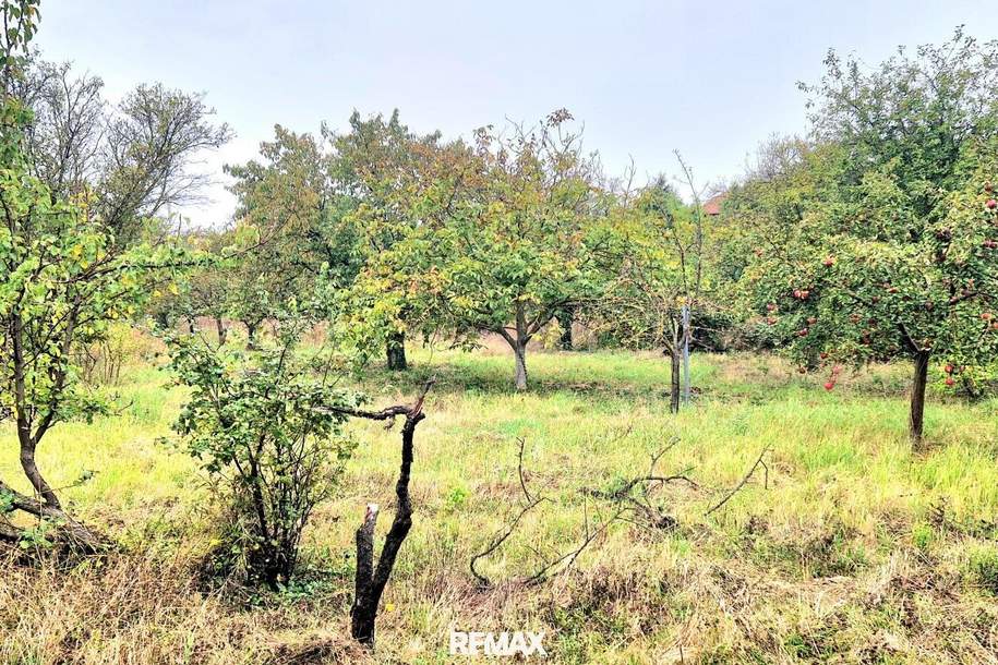 BAUGRUND in den Golser Weinbergen, Grund und Boden-kauf, 235.000,€, 7122 Neusiedl am See