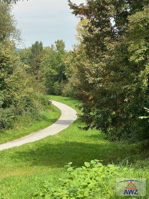 Kleine Wohnung in Stadtnähe und doch naturnah!