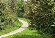 Kleine Wohnung in Stadtnähe und doch naturnah!