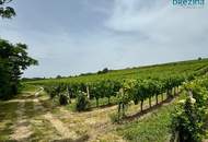 Ein Traum am Fuß der Nussdorfer Weinberge inkl. Garagenstellplatz