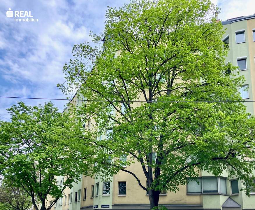 Toplage Nähe Augarten – 3-Zimmer-Wohnung – bezugsbereit