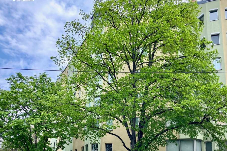 Toplage Nähe Augarten – 3-Zimmer-Wohnung – bezugsbereit, Wohnung-kauf, 339.000,€, 1200 Wien 22., Donaustadt