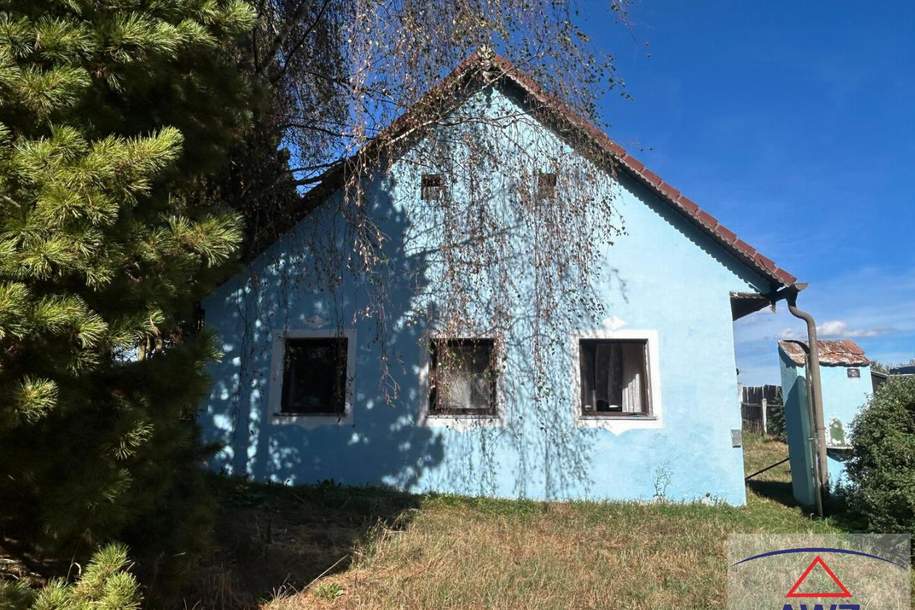 Bauernhaus mit großem Stadel und ca. 4000 m² Wiese!, Haus-kauf, 3844 Waidhofen an der Thaya