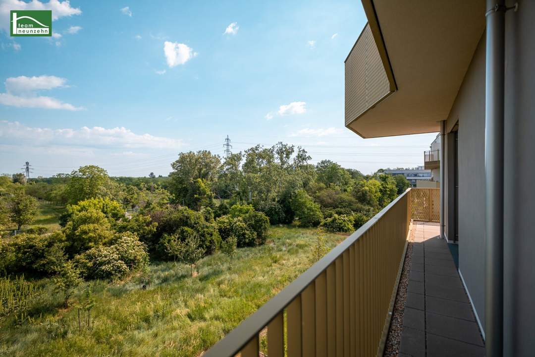 Machen Sie Ihren Mieterin ein Geschenk (Nettopreis) - geräumige 5.Zimmer mit umlaufendem Balkon - Provisionsfreier Erstbezug