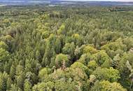 Mischwald in 5121 St. Radegund