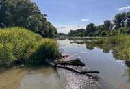 Leben gleich neben dem Nationalpark Donauauen nahe Wien