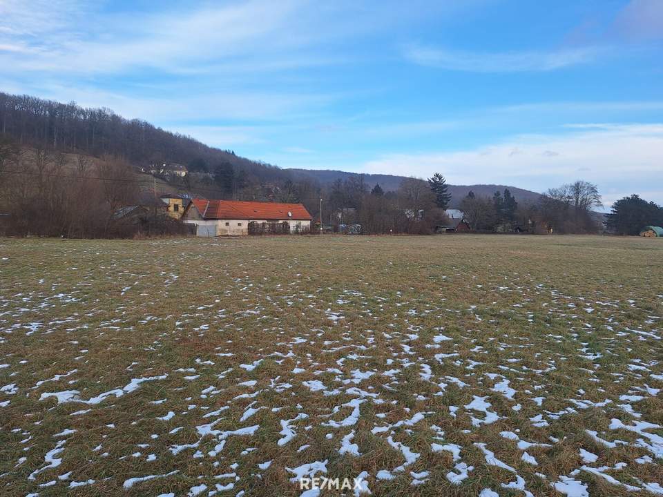 Breitenfurt West - Interessantes Grundstück an Grünland Grenze