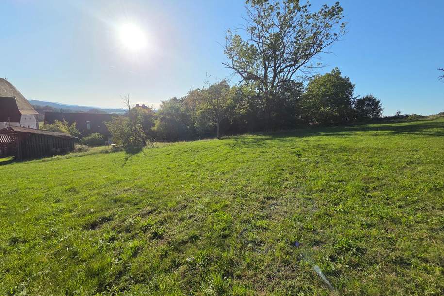 Großzügiges Grundstück mit Altbestand in sonniger Südwestlage, Grund und Boden-kauf, 360.000,€, 5211 Braunau am Inn