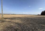 Ebener Acker nahe Ortszentrum Burgkirchen