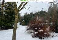 Naturnah & ruhig: Grundstück mit Altbestand in Spattendorf - Gemeinde Alberndorf in der Riedmark (GST 2438/1)