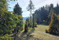 Baugrundstück mit über 2.200m² - Pitten