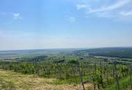 Romantischer Weinkeller mit Charme, Geschichte und Weingarten in traumhafter Ruhelage – Eisenberg/Südburgenland