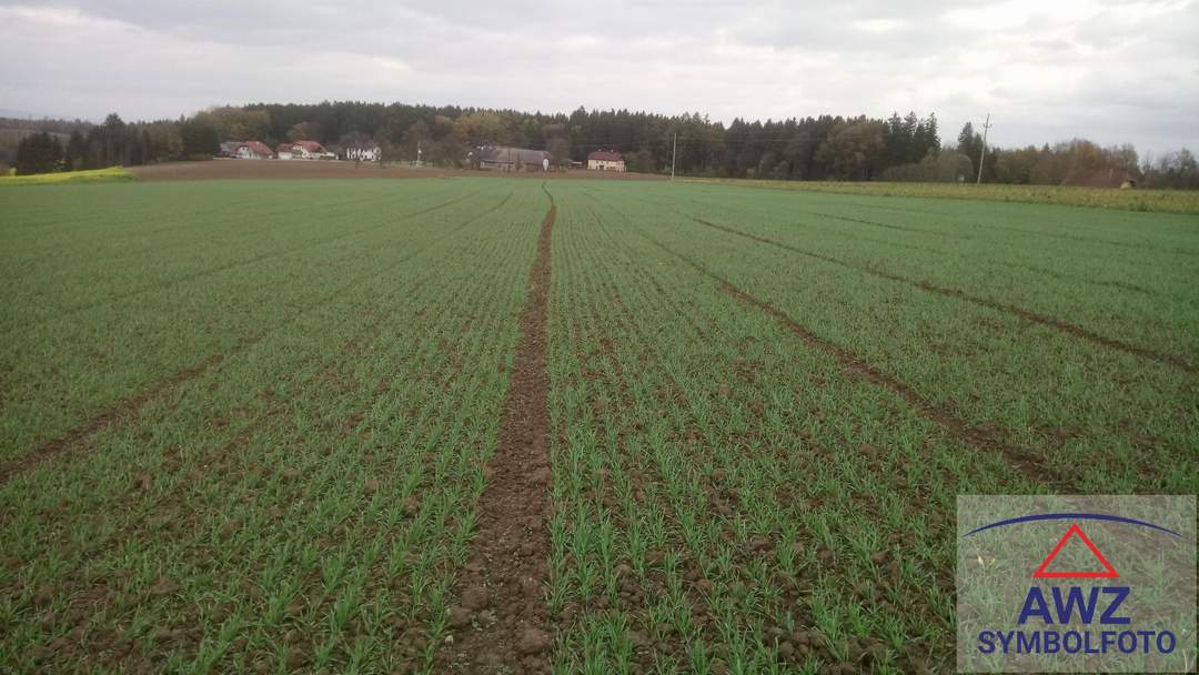 Verkaufe schönen Acker nähe Schärding! ca. 3.5 ha