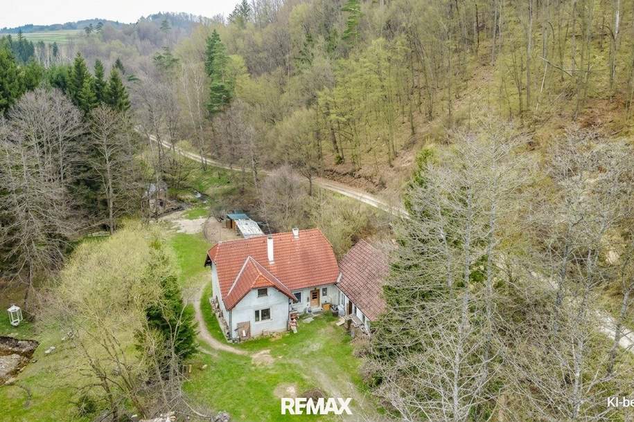!! Neuer Preis !! Ein Rückzugsort mit Seele – Naturidylle trifft auf kreative Entfaltungsmöglichkeiten, Haus-kauf, 240.000,€, 3572 Krems(Land)