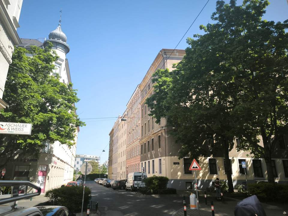 Helle, sanierungsbedürftige Wohnung mit Potenzial im grünen Fasanviertel