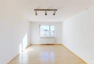 Grünblick mitten in der Josefstadt