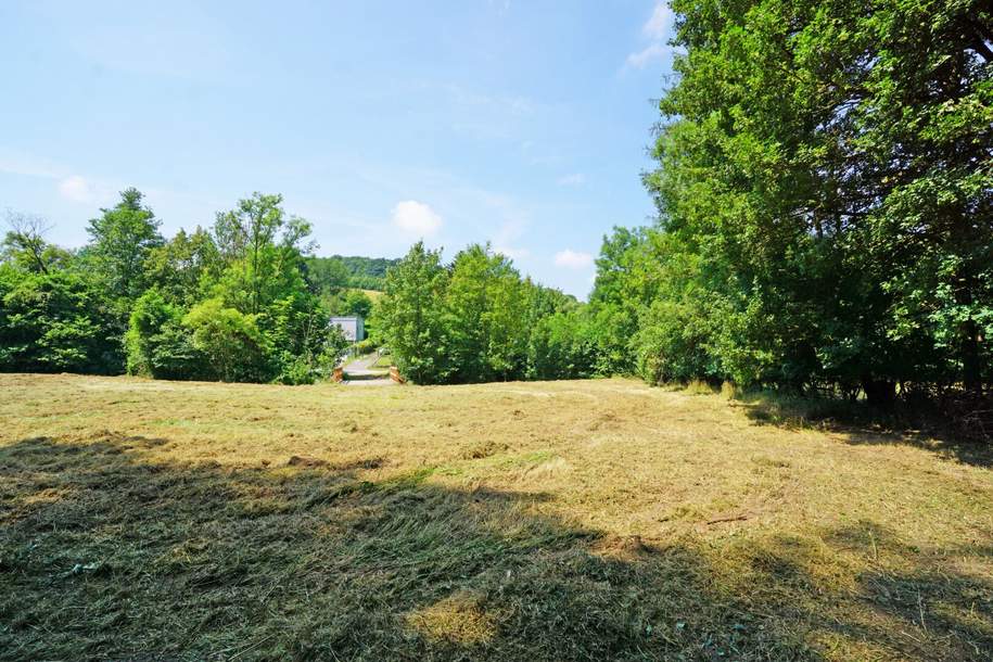 Ebenes Baugrundstück in sonniger Ruhelage - nur 2 km vom Pressbaumer Zentrum, Grund und Boden-kauf, 345.000,€, 3021 Sankt Pölten(Land)