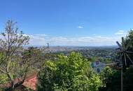 Top Aussichtslage am Schafberg!