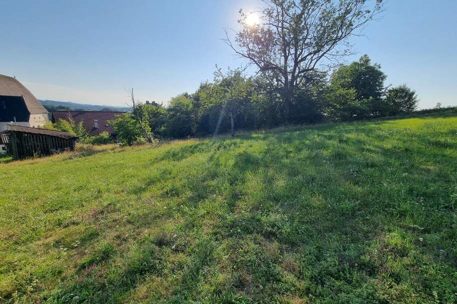 Großzügiges Grundstück mit Altbestand in sonniger Südwestlage, Grund und Boden-kauf, 360.000,€, 5211 Braunau am Inn