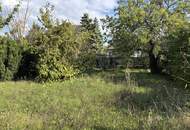 5 Zimmer-Einfamilienhaus in ruhiger Siedlungslage