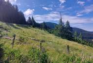 Bauland Kurgebiet und Grünland auf der Koralm