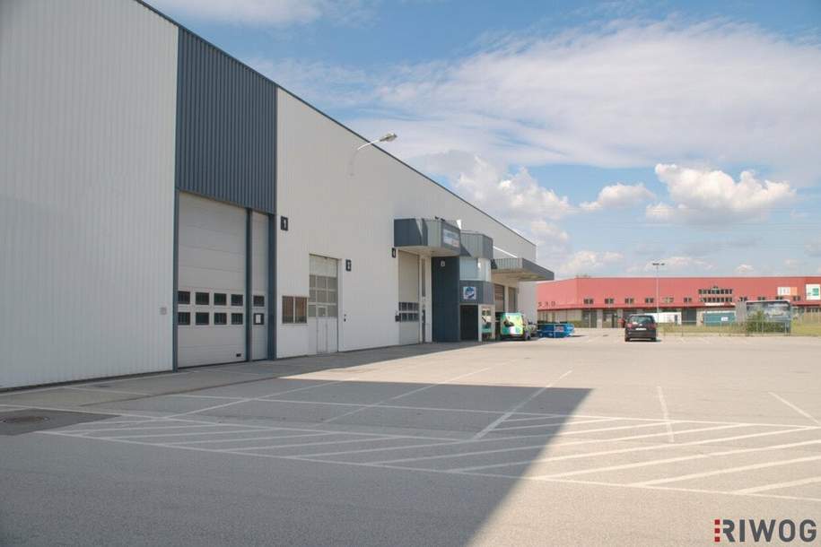 Ebenerdige Lagerhalle mit 294m² im IZ-Süd in Kombination mit Büro ab ca. 113m², Gewerbeobjekt-miete, 2.261,73,€, 2351 Mödling