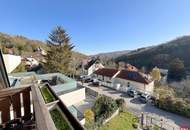Neuer Preis: Sonnige Ruhelage im Herzen von Weidling