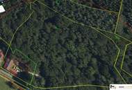 1,2 Hektar Grundstück für die Erholung/Selbstversorgung bei Bad Tatzmannsdorf