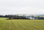 Gemütliches Reihenhaus in ruhiger Lage - Nöchling