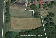 Gutshof Schloss Welsdorf (Privat/Provisionsfrei)