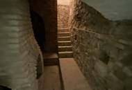 Aufwachen in luxuriöser Kulisse: Erstklassiges Landhaus in 1190 Wien