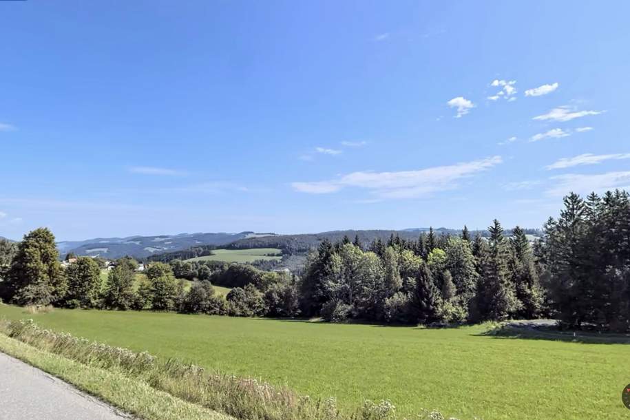 Villa Awart mit 7 Zimmern, Garten, Balkon, Terrasse uvm. für 490.000,00 € in nähe Aspang-Markt, Haus-kauf, 490.000,€, 2870 Neunkirchen