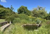 Landsitz in Einzellage - 6 Hektar - Der Garten Eden könnte nicht schöner sein !