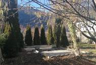 Teilsanierte Endreihenhaushälfte in Schwaz – Stadtrandlage, schöner Garten