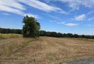 Landwirtschaftliche Grundstücke in Neuberg