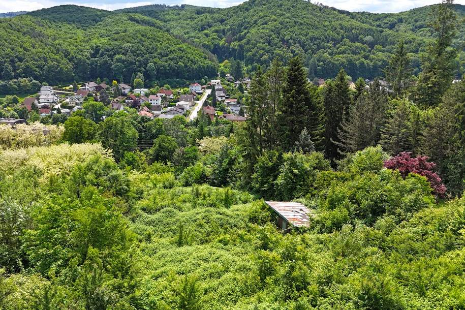Baugrund in Südlage am Sagberg, Grund und Boden-kauf, 360.000,€, 3002 Sankt Pölten(Land)
