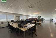 Hochwertige Gewerbefläche mit 15 Parkplätzen in 2326 Maria Lanzendorf – Industriestraße: ab sofort verfügbar!